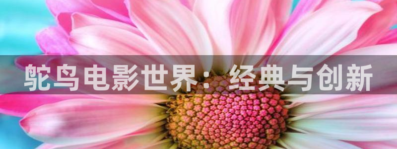 在线免费观看奇优影院