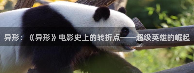 奇优影院电影在线观看