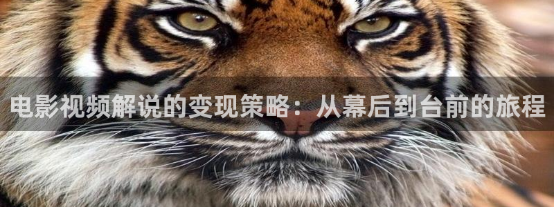奇优影院在线播放免费观看
