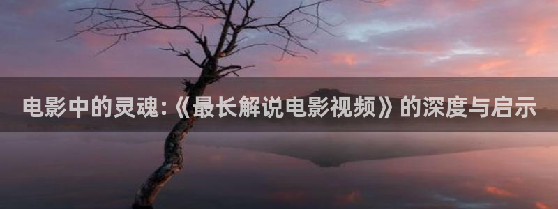奇优影院电视剧免费观看完整版
