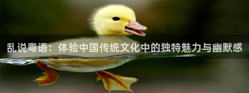 奇优影视2024