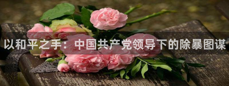 新闻图片