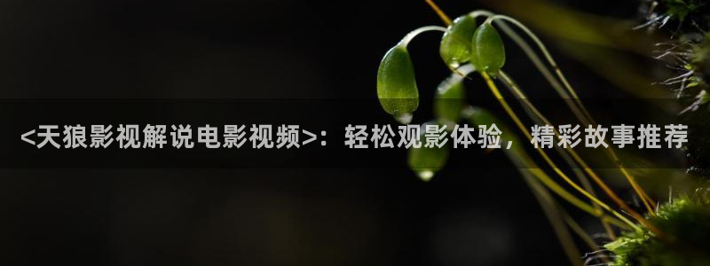 奇优影院电视