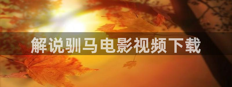 奇优影院手机免费高清影院电视剧