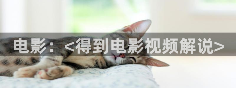 奇优影院免费高清电影