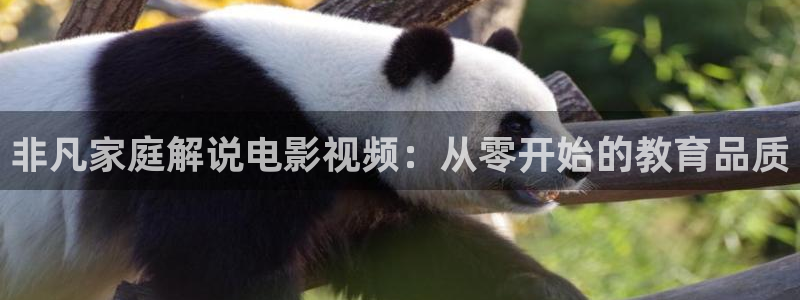 奇优影院电视剧免费观看完整版