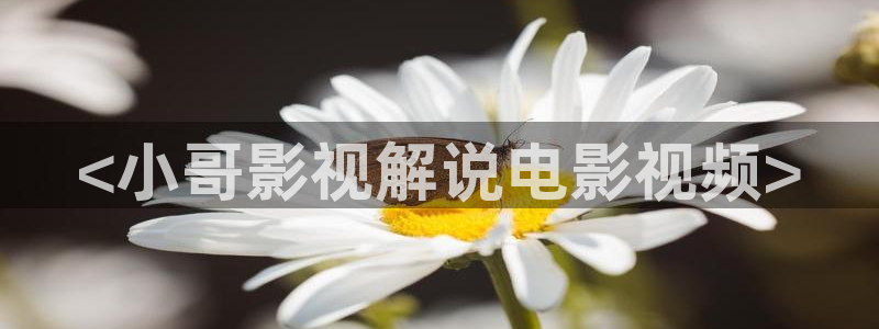 奇优影院最近最新款的电视剧