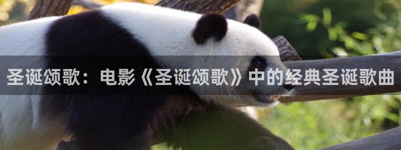 6kkp奇优影院