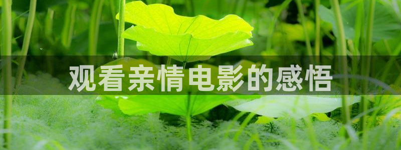 奇优影院免费高清电视剧在线观看