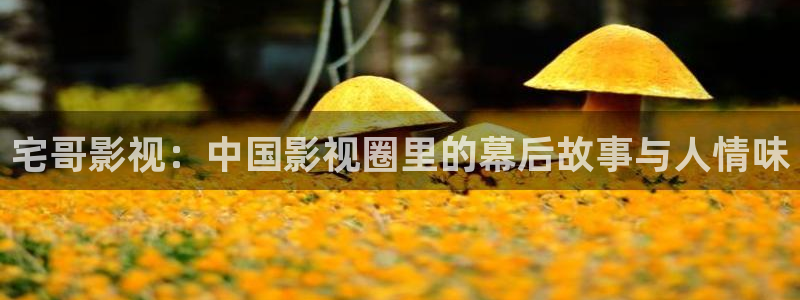 奇优影院理论