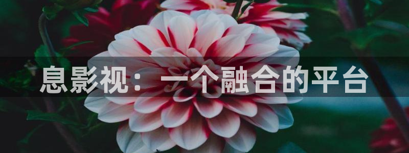 奇优影院黑狐影院yy4800