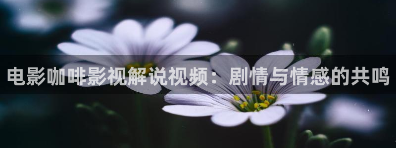 奇优影院手机版免费高清电视剧在线观看