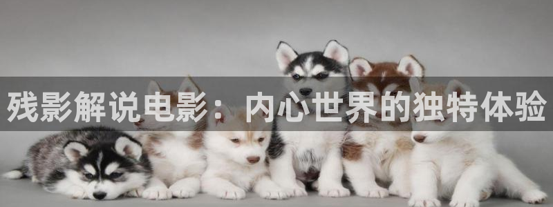 奇优影院电影手机版免费高清电视剧