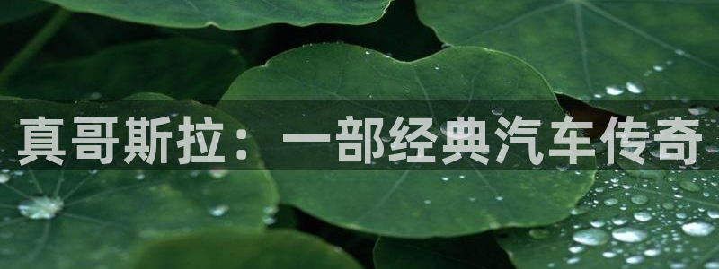奇优影院手机218在线影视