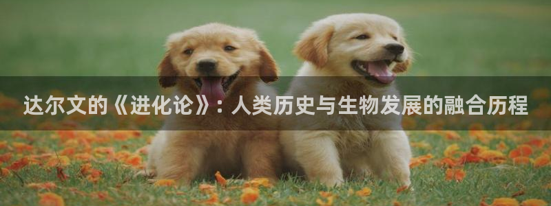 奇优影院在线观看手机版电视剧免费推荐