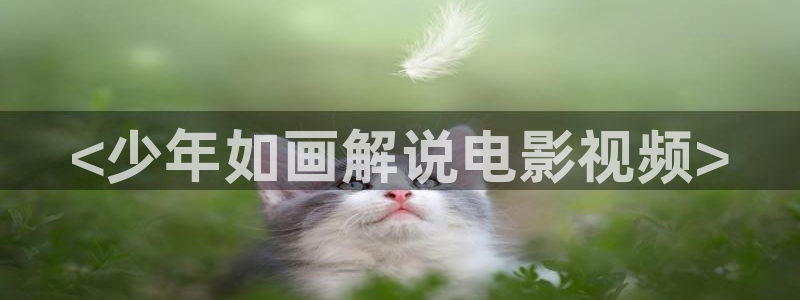 新闻图片