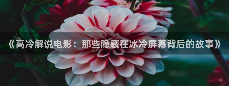 奇怪的美发沙龙奇优影院