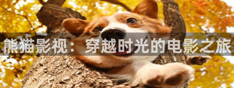 奇优影院老款