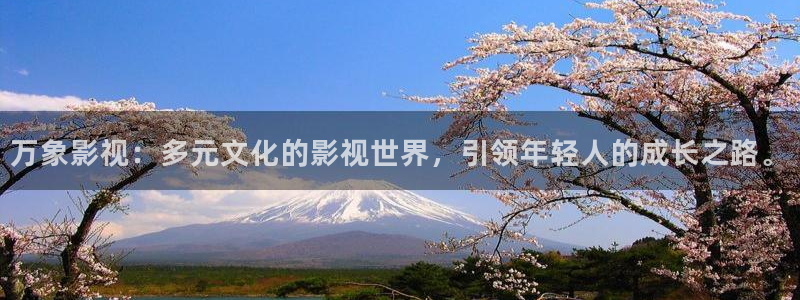 奇优影视手机版电视剧