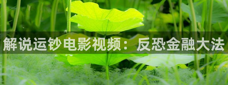 奇优影视在线看