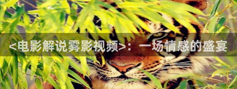 奇优影院免费手机高清版