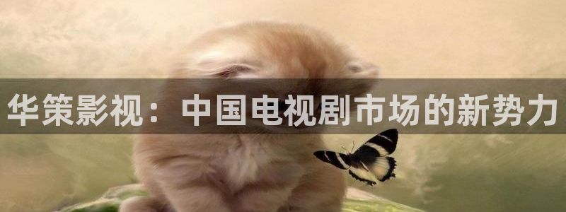 奇优影院仙逆