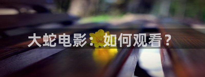 新闻图片