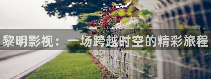 奇优影院在线手机观看